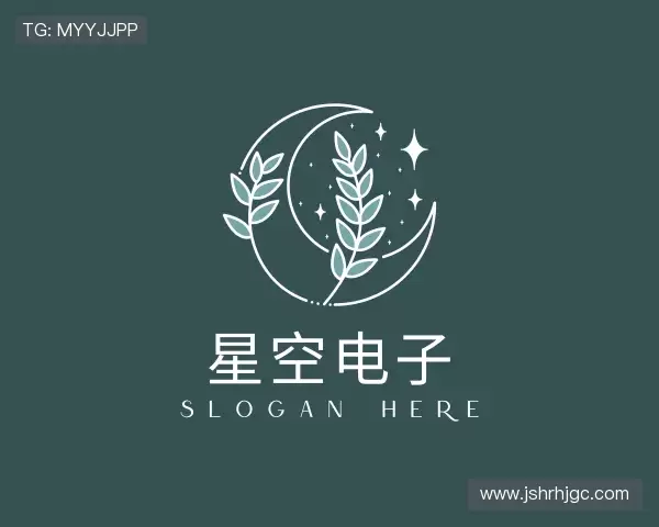 介绍星空电子
